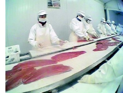 industria salmon 18  ALIMENTOS MERCADO